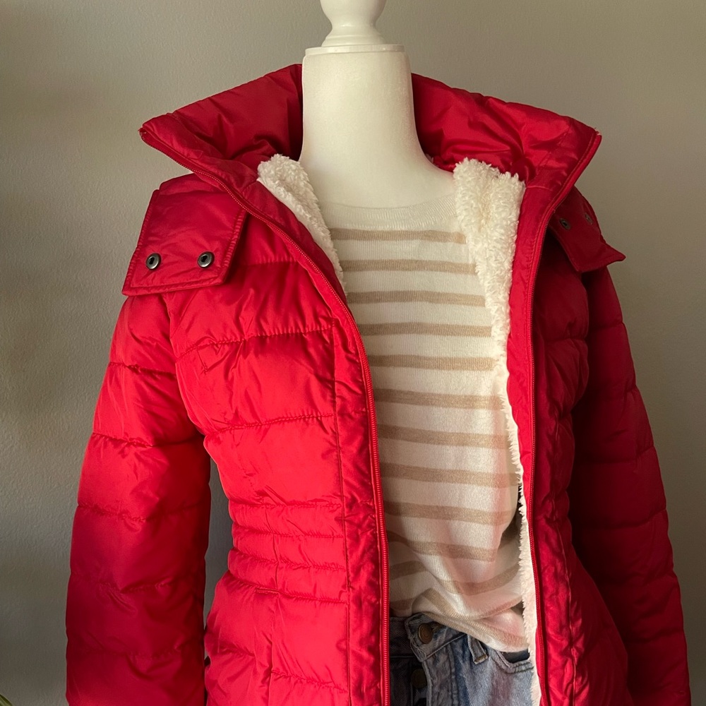 Hollister puffer jacket hooded